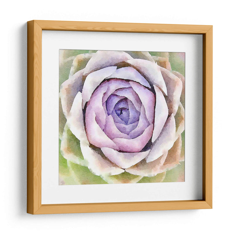 Succulente Iv - Jennifer Paxton Parker | Cuadro decorativo de Canvas Lab