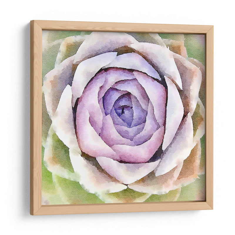 Succulente Iv - Jennifer Paxton Parker | Cuadro decorativo de Canvas Lab