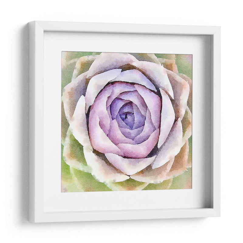 Succulente Iv - Jennifer Paxton Parker | Cuadro decorativo de Canvas Lab