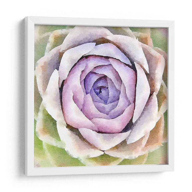 Succulente Iv - Jennifer Paxton Parker | Cuadro decorativo de Canvas Lab