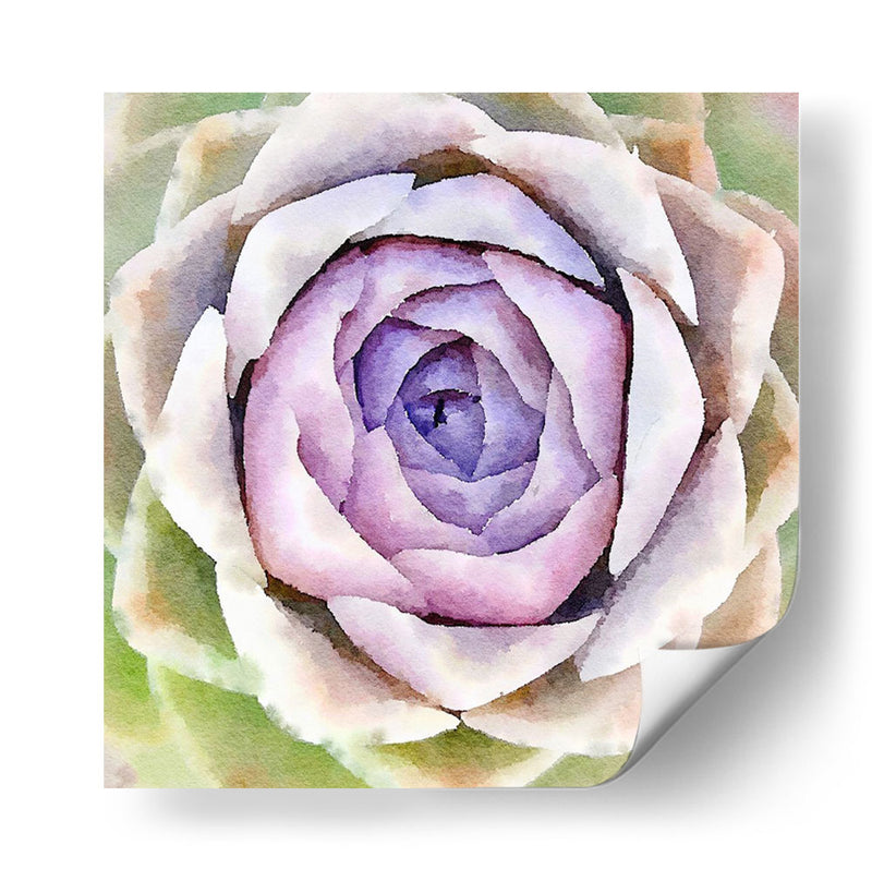 Succulente Iv - Jennifer Paxton Parker | Cuadro decorativo de Canvas Lab