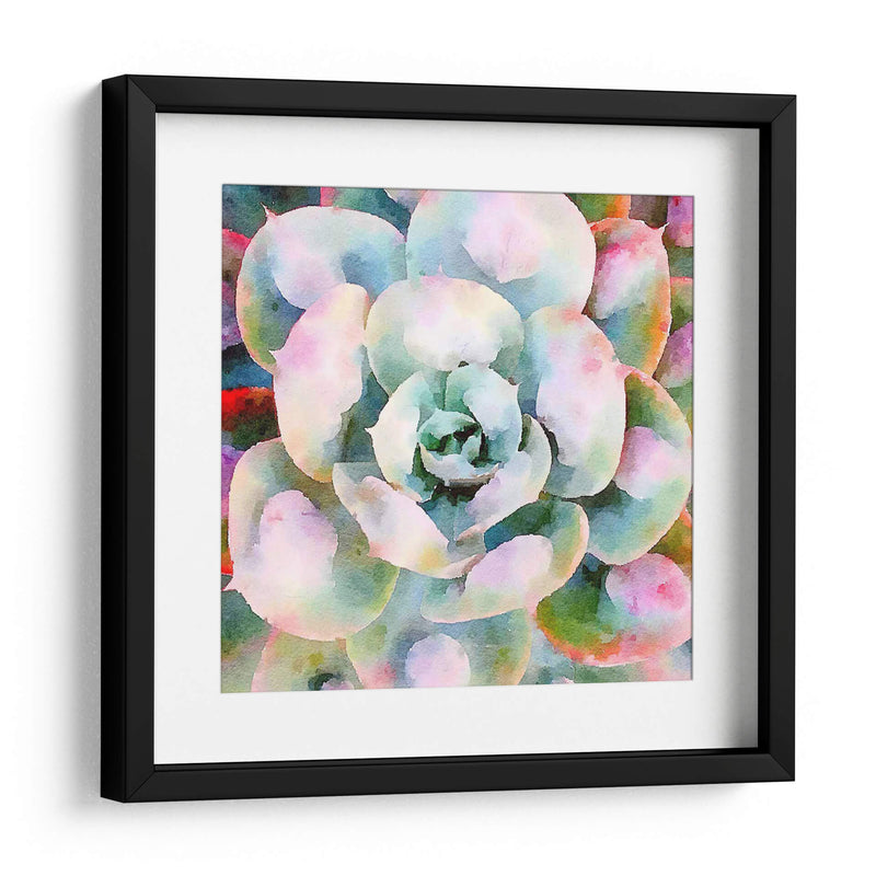 Succulente V - Jennifer Paxton Parker | Cuadro decorativo de Canvas Lab