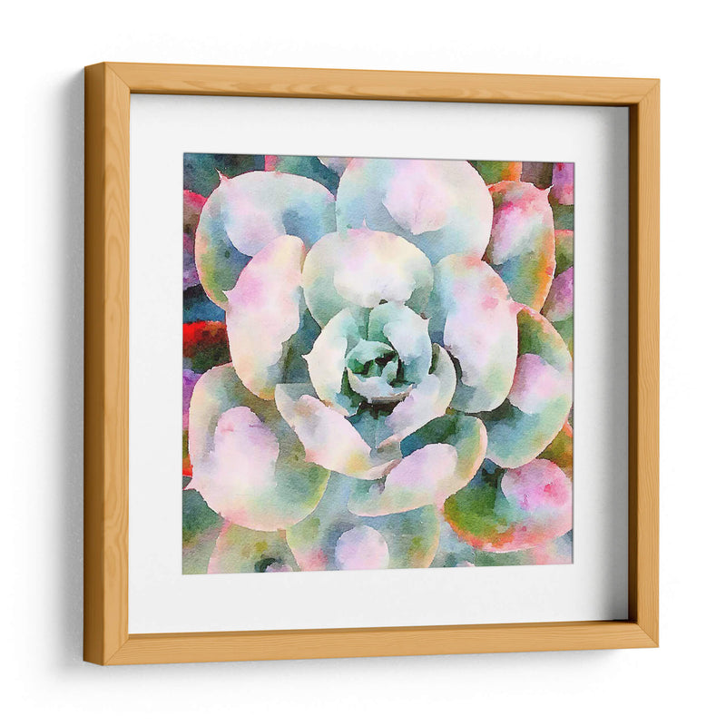 Succulente V - Jennifer Paxton Parker | Cuadro decorativo de Canvas Lab