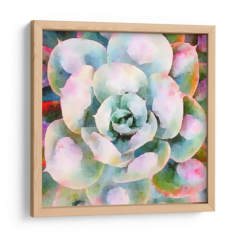 Succulente V - Jennifer Paxton Parker | Cuadro decorativo de Canvas Lab