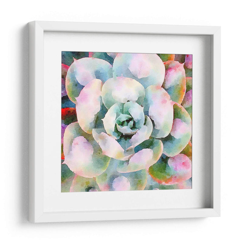 Succulente V - Jennifer Paxton Parker | Cuadro decorativo de Canvas Lab