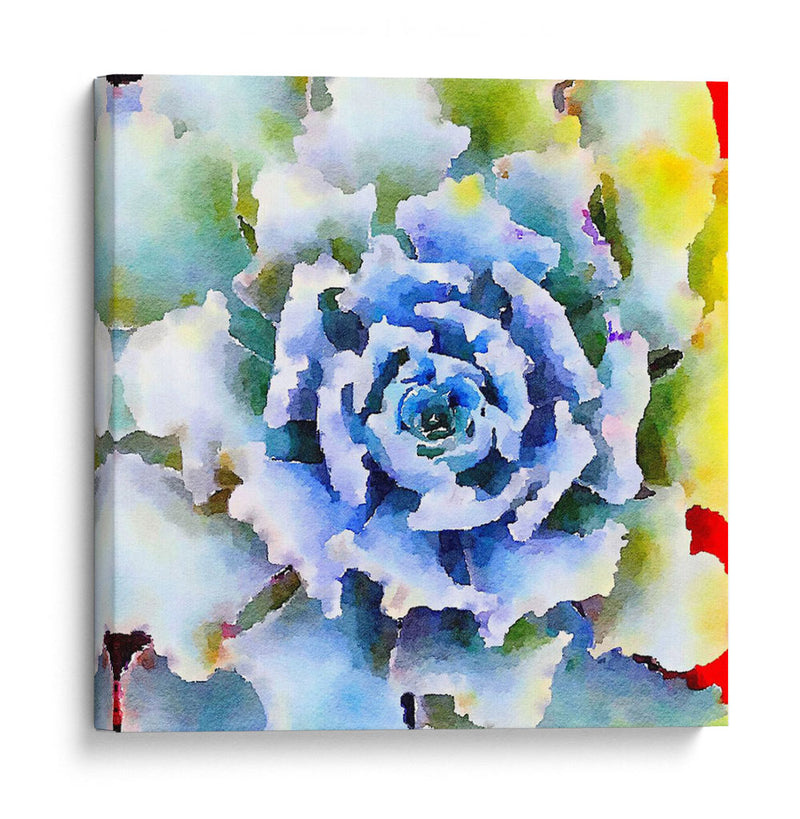 Succulente Vii - Jennifer Paxton Parker | Cuadro decorativo de Canvas Lab