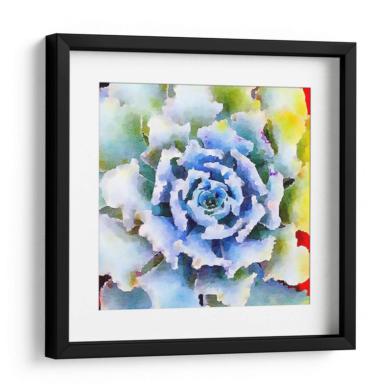 Succulente Vii - Jennifer Paxton Parker | Cuadro decorativo de Canvas Lab