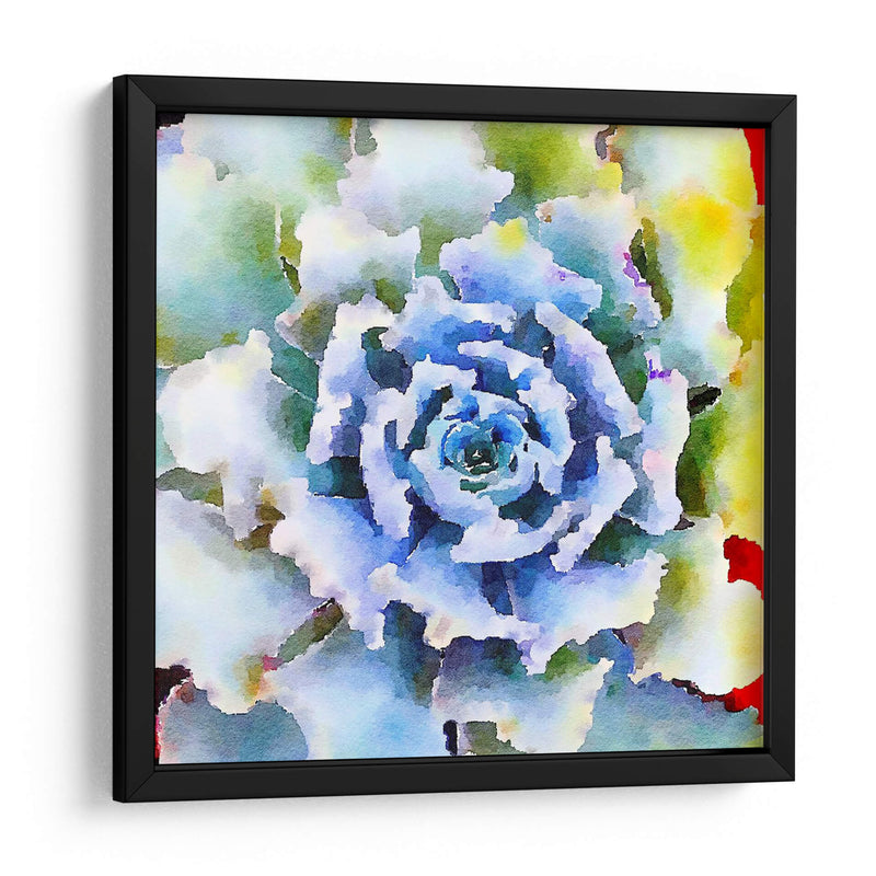 Succulente Vii - Jennifer Paxton Parker | Cuadro decorativo de Canvas Lab