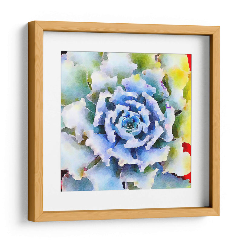 Succulente Vii - Jennifer Paxton Parker | Cuadro decorativo de Canvas Lab