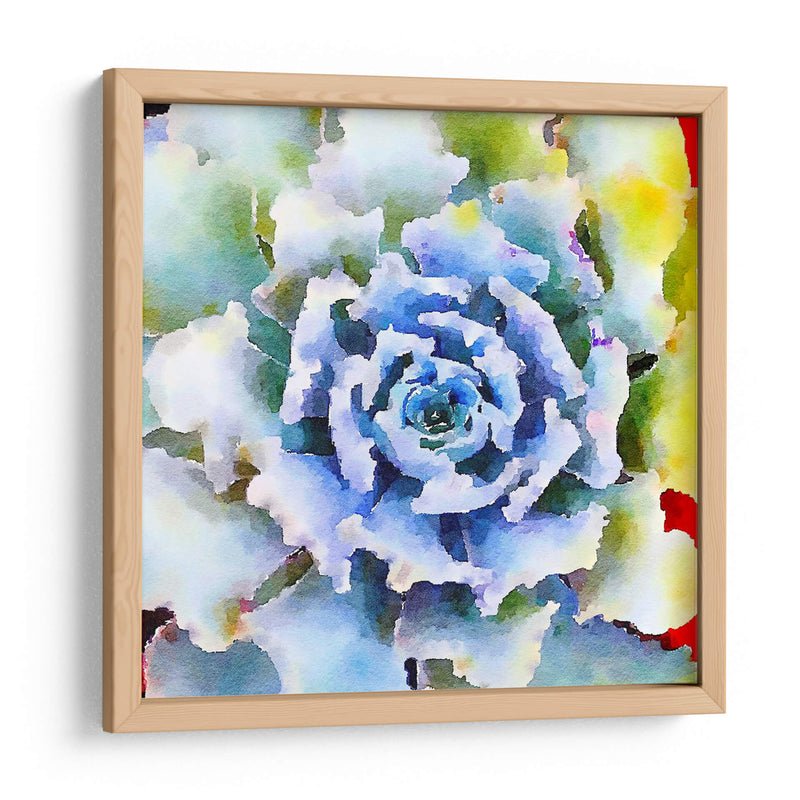 Succulente Vii - Jennifer Paxton Parker | Cuadro decorativo de Canvas Lab