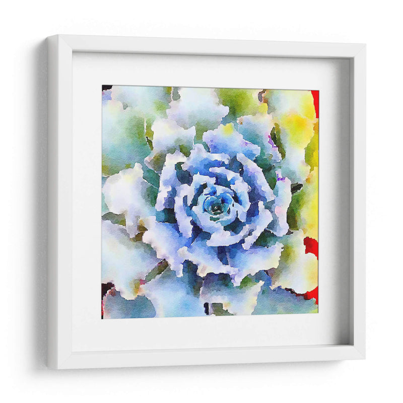 Succulente Vii - Jennifer Paxton Parker | Cuadro decorativo de Canvas Lab