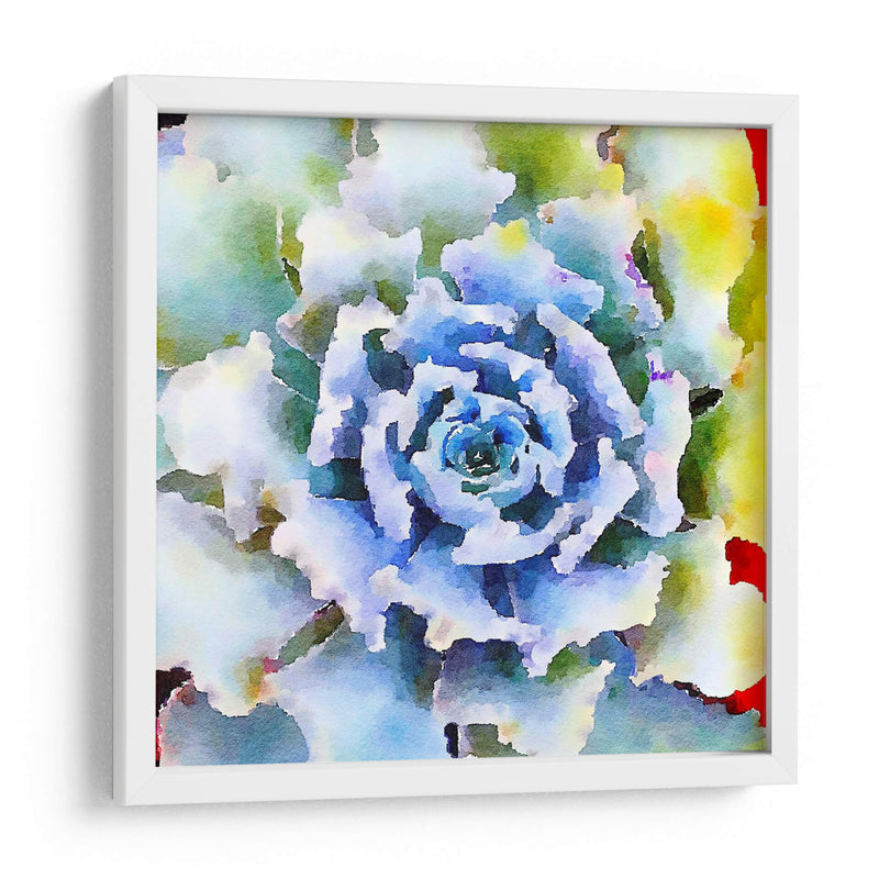 Succulente Vii - Jennifer Paxton Parker | Cuadro decorativo de Canvas Lab