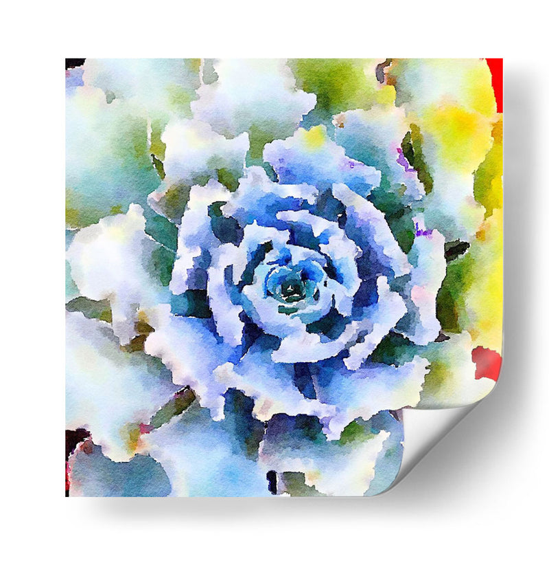 Succulente Vii - Jennifer Paxton Parker | Cuadro decorativo de Canvas Lab