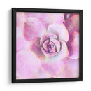 Succulente Viii - Jennifer Paxton Parker | Cuadro decorativo de Canvas Lab