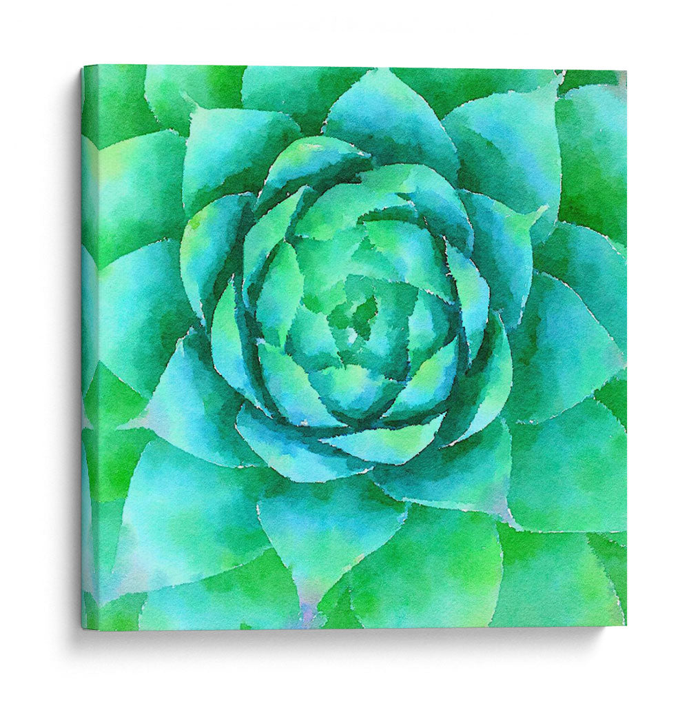 Succulente X - Jennifer Paxton Parker | Cuadro decorativo de Canvas Lab