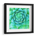 Succulente X - Jennifer Paxton Parker | Cuadro decorativo de Canvas Lab