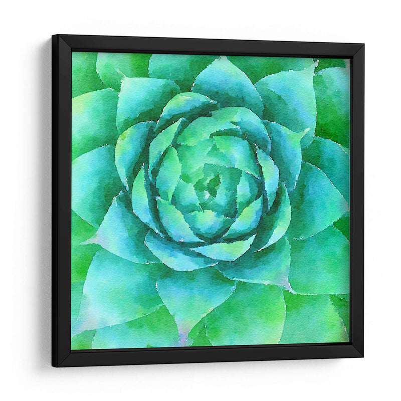 Succulente X - Jennifer Paxton Parker | Cuadro decorativo de Canvas Lab