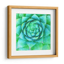 Succulente X - Jennifer Paxton Parker | Cuadro decorativo de Canvas Lab
