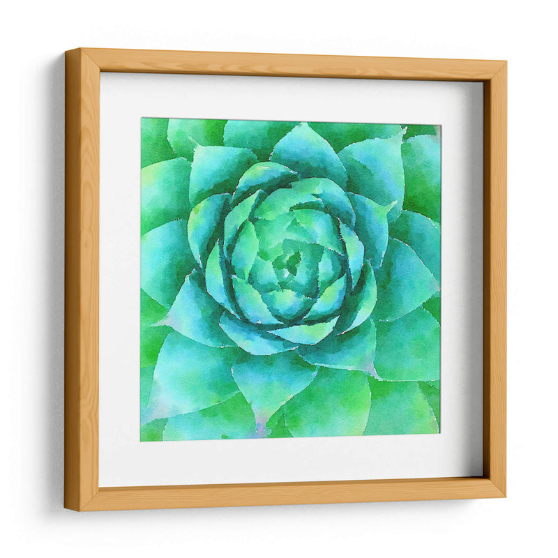 Succulente X - Jennifer Paxton Parker | Cuadro decorativo de Canvas Lab