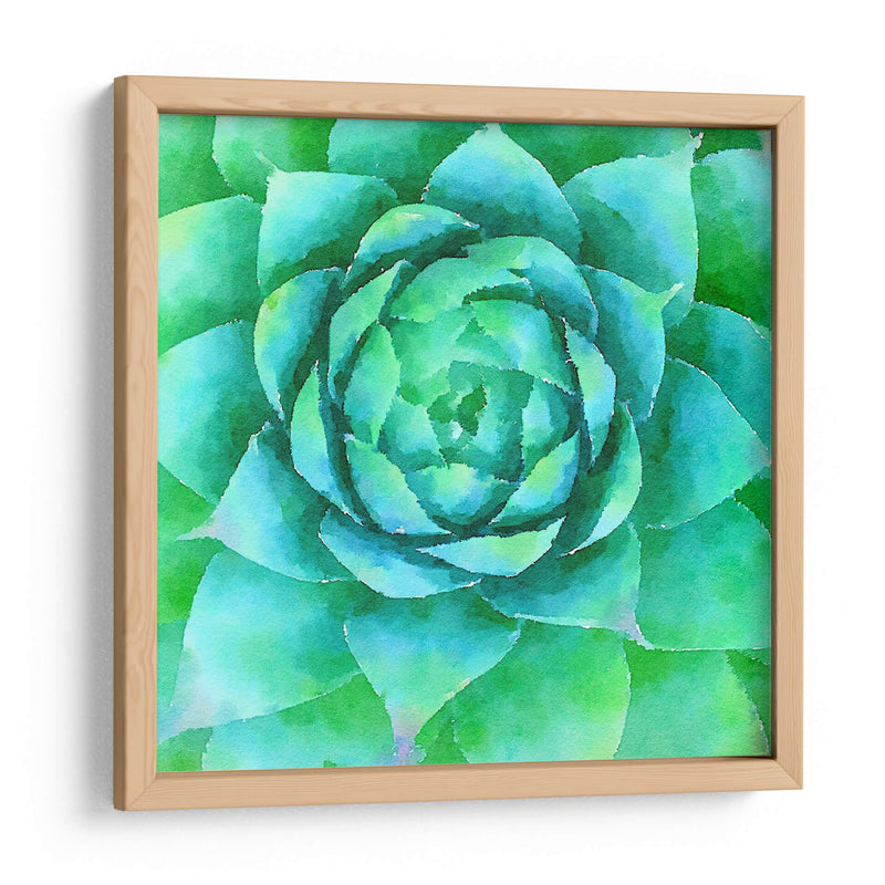 Succulente X - Jennifer Paxton Parker | Cuadro decorativo de Canvas Lab