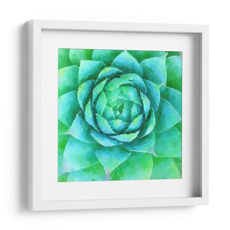 Succulente X - Jennifer Paxton Parker | Cuadro decorativo de Canvas Lab