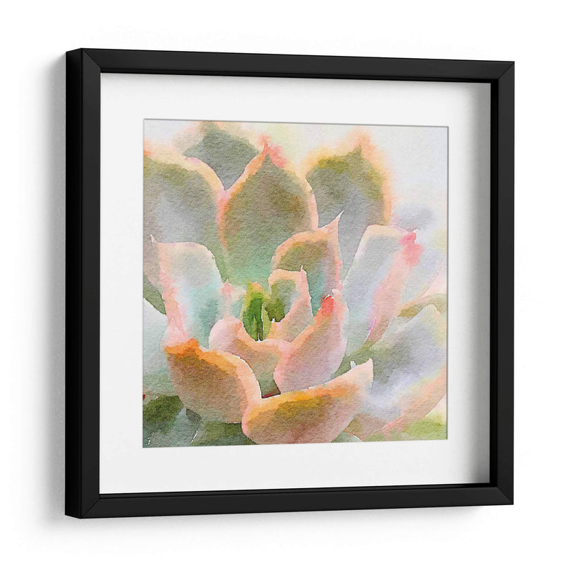 Succulente Xi - Jennifer Paxton Parker | Cuadro decorativo de Canvas Lab