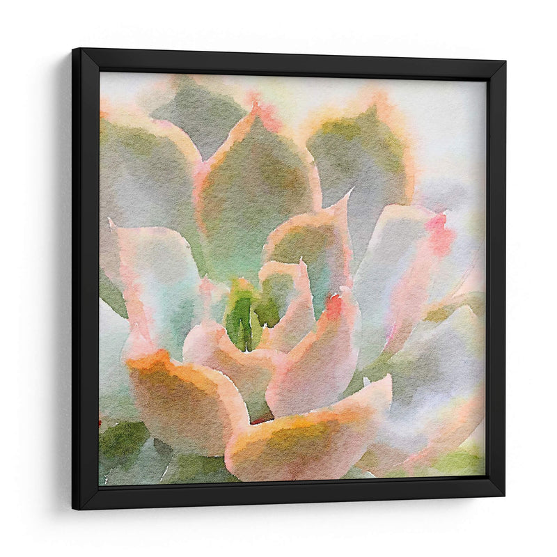 Succulente Xi - Jennifer Paxton Parker | Cuadro decorativo de Canvas Lab