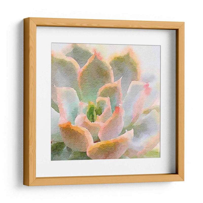 Succulente Xi - Jennifer Paxton Parker | Cuadro decorativo de Canvas Lab