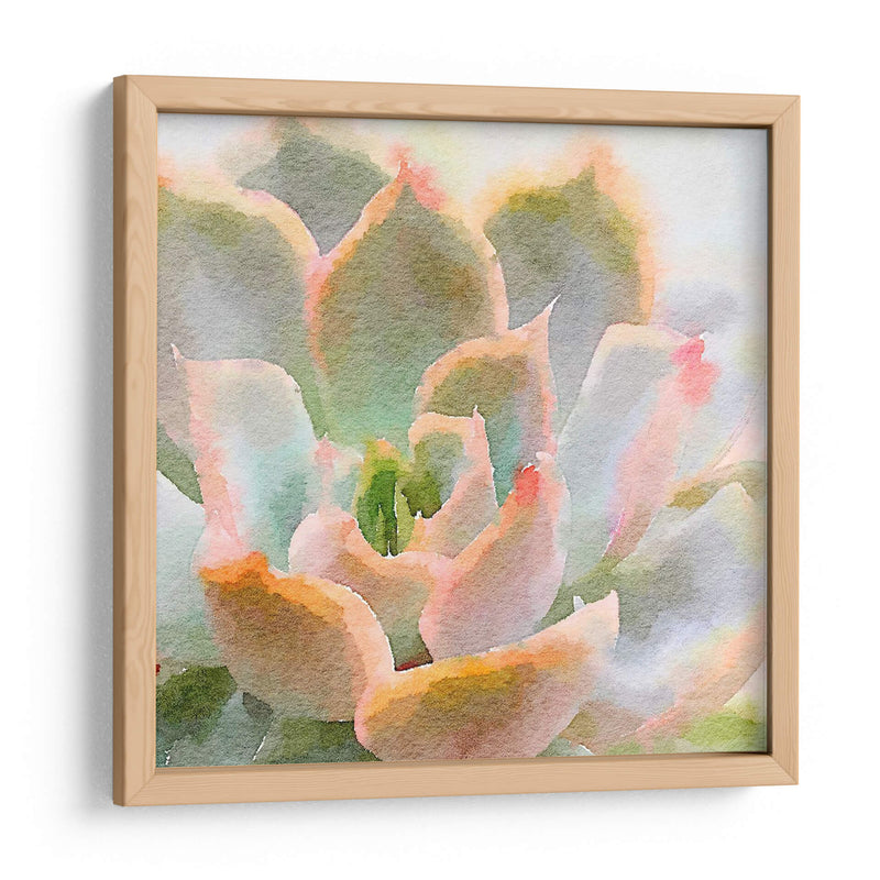 Succulente Xi - Jennifer Paxton Parker | Cuadro decorativo de Canvas Lab