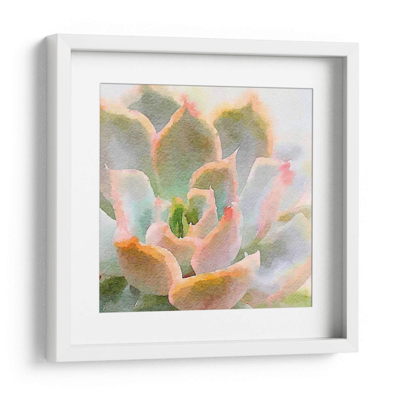 Succulente Xi - Jennifer Paxton Parker | Cuadro decorativo de Canvas Lab