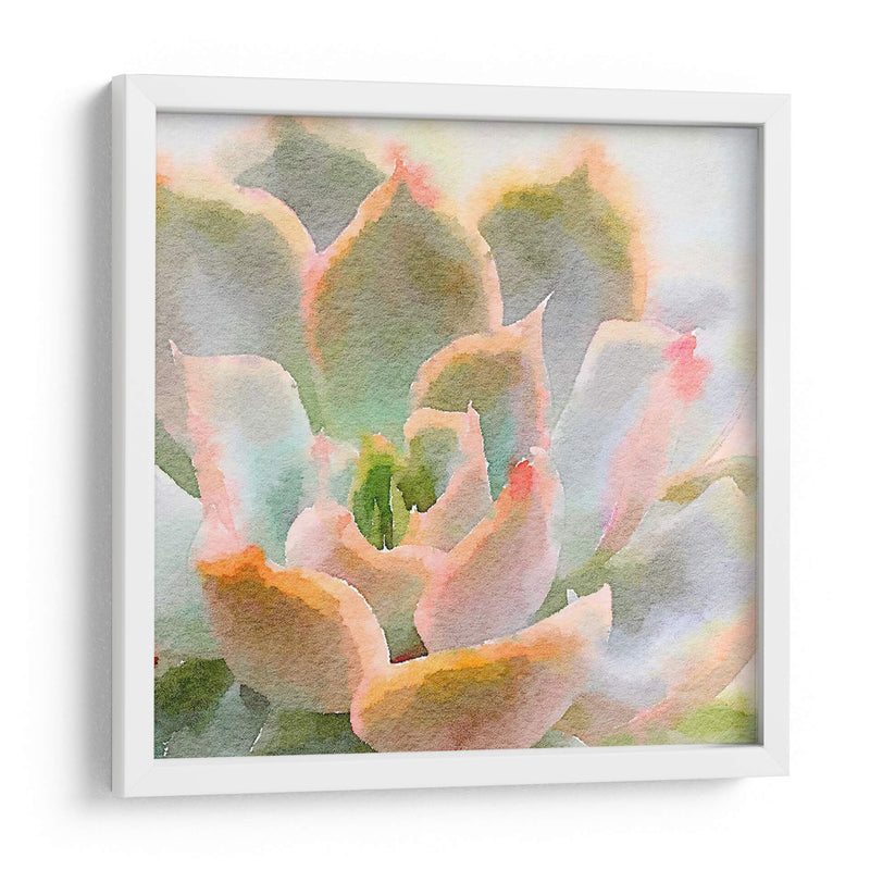 Succulente Xi - Jennifer Paxton Parker | Cuadro decorativo de Canvas Lab