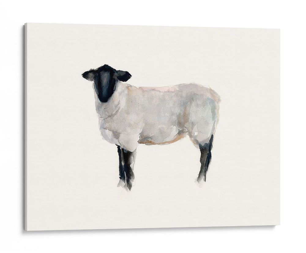 Estudio De Animales De Granja I - Ethan Harper | Cuadro decorativo de Canvas Lab