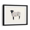 Estudio De Animales De Granja I - Ethan Harper | Cuadro decorativo de Canvas Lab