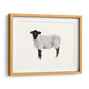 Estudio De Animales De Granja I - Ethan Harper | Cuadro decorativo de Canvas Lab