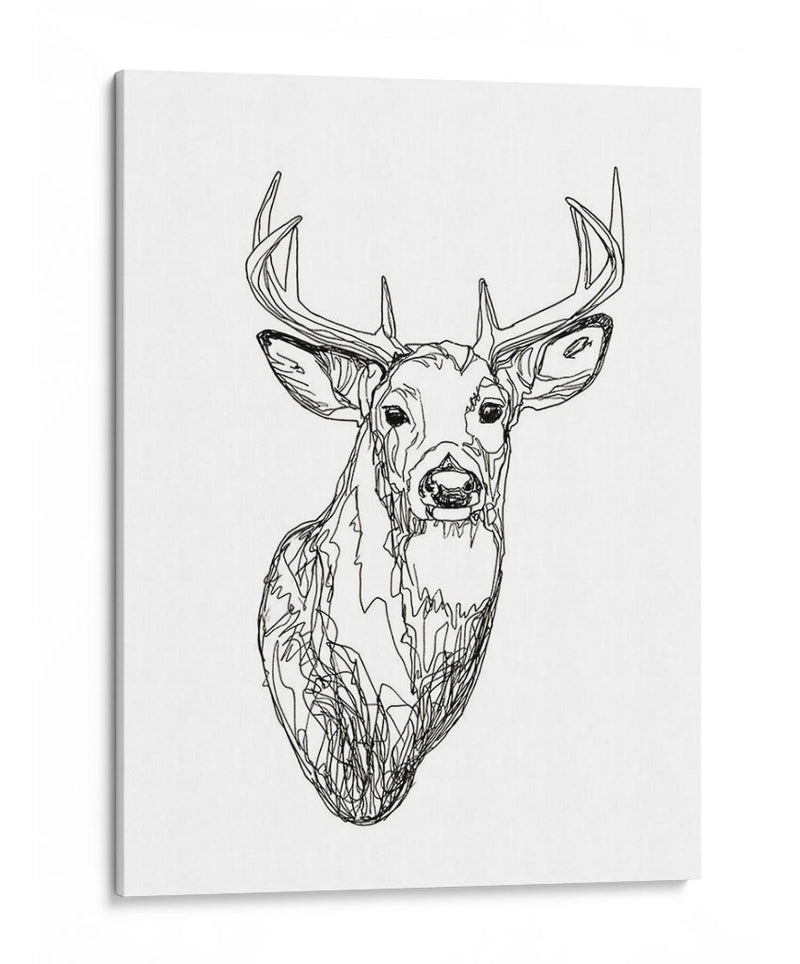 Whitetail Wireframe I - Emma Scarvey | Cuadro decorativo de Canvas Lab