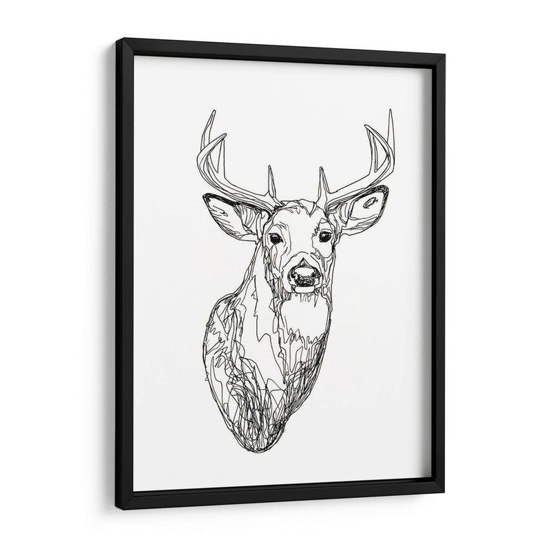 Whitetail Wireframe I - Emma Scarvey | Cuadro decorativo de Canvas Lab