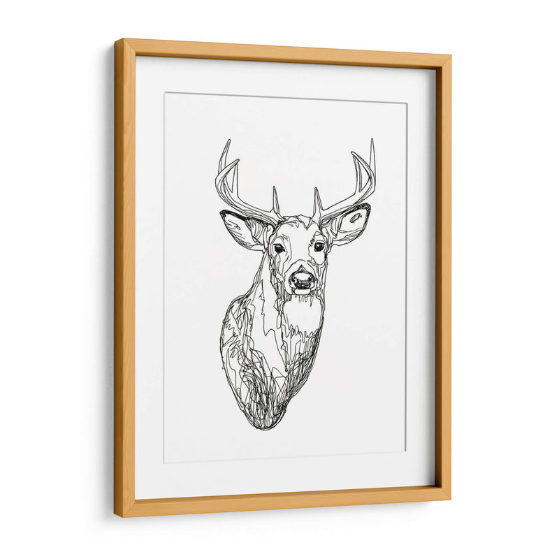 Whitetail Wireframe I - Emma Scarvey | Cuadro decorativo de Canvas Lab