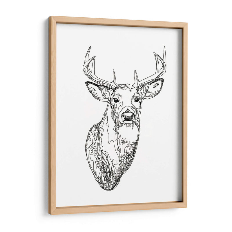 Whitetail Wireframe I - Emma Scarvey | Cuadro decorativo de Canvas Lab