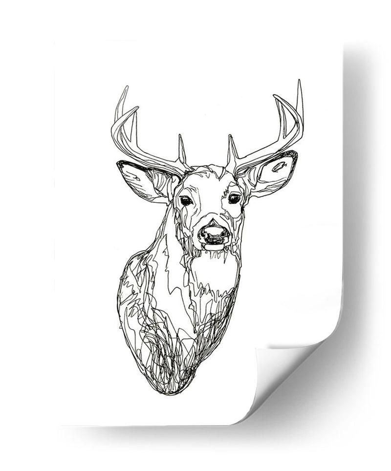 Whitetail Wireframe I - Emma Scarvey | Cuadro decorativo de Canvas Lab