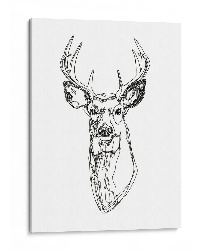 Whitetail Wireframe Ii - Emma Scarvey | Cuadro decorativo de Canvas Lab