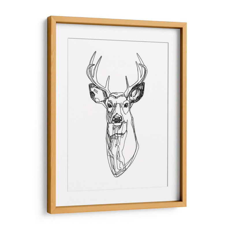 Whitetail Wireframe Ii - Emma Scarvey | Cuadro decorativo de Canvas Lab