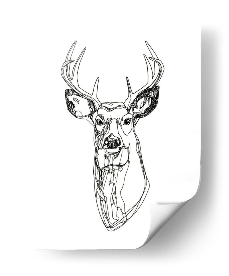 Whitetail Wireframe Ii - Emma Scarvey | Cuadro decorativo de Canvas Lab