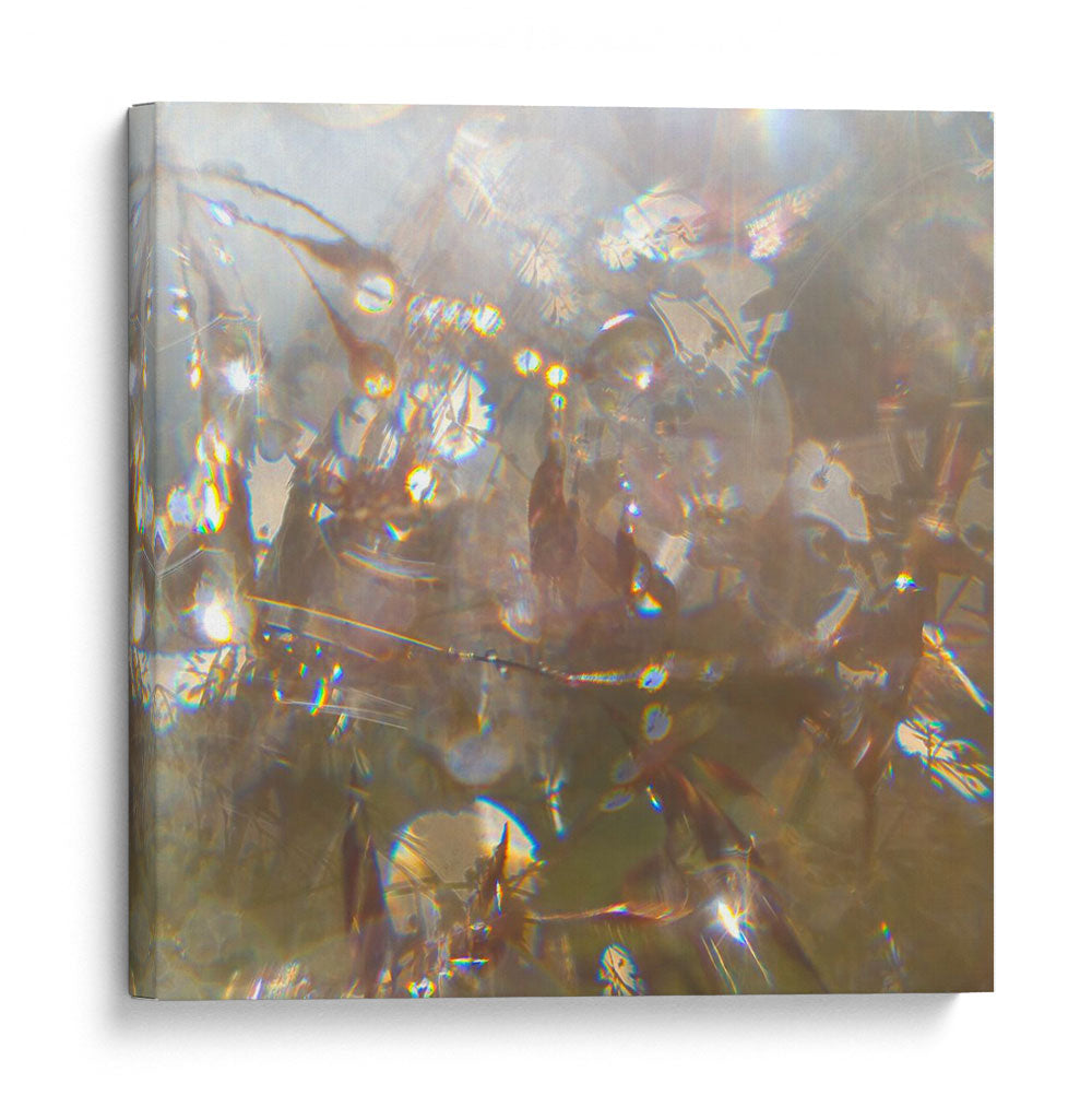 Angel Drops Ii - Gillian Hunt | Cuadro decorativo de Canvas Lab