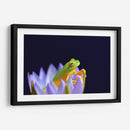 Un sapito en una flor | Cuadro decorativo de Canvas Lab