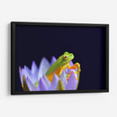 Un sapito en una flor | Cuadro decorativo de Canvas Lab