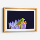 Un sapito en una flor | Cuadro decorativo de Canvas Lab