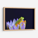 Un sapito en una flor | Cuadro decorativo de Canvas Lab