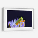 Un sapito en una flor | Cuadro decorativo de Canvas Lab