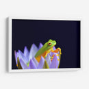 Un sapito en una flor | Cuadro decorativo de Canvas Lab