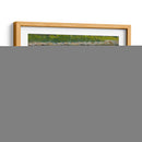 Barcos De Langosta - Stephen Calcasola | Cuadro decorativo de Canvas Lab